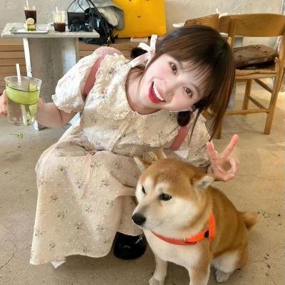 聪明的小母鸡